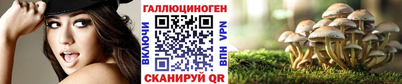 блэк спрут маркетплейс  Топки  Галлюциногенные грибы мицелий 