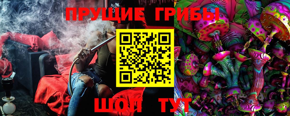 Псилоцибиновые грибы Psilocybine cubensis Топки