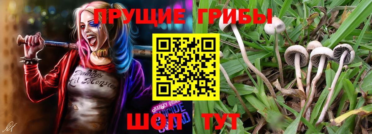 Галлюциногенные грибы Magic Shrooms  Галлюциногенные грибы ЛСД  Вход с VPN  Топки 